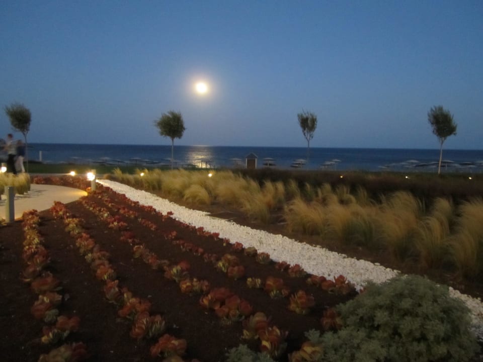 Garten bei Nacht Elysium Resort & Spa Hotel