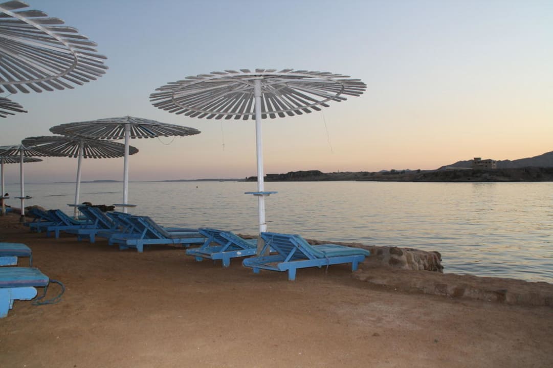 Am Strand Albatros Sharm Resort