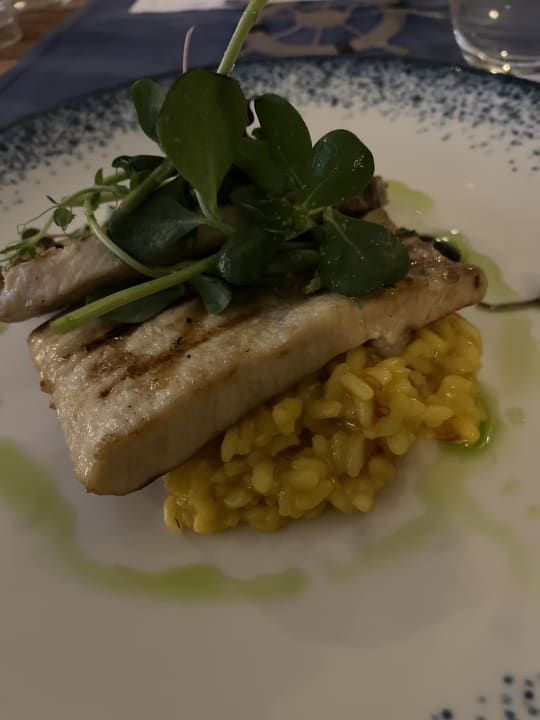 Gastro Acanthus Cennet Barut Collection