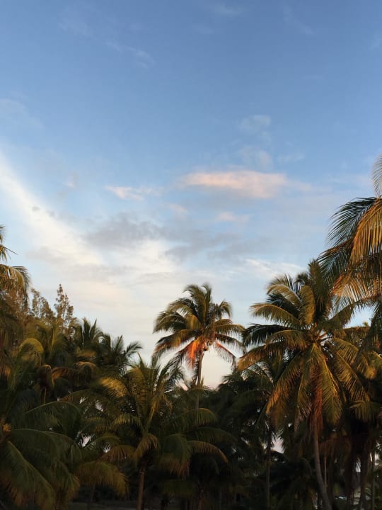 Garten Hotel Los Cactus