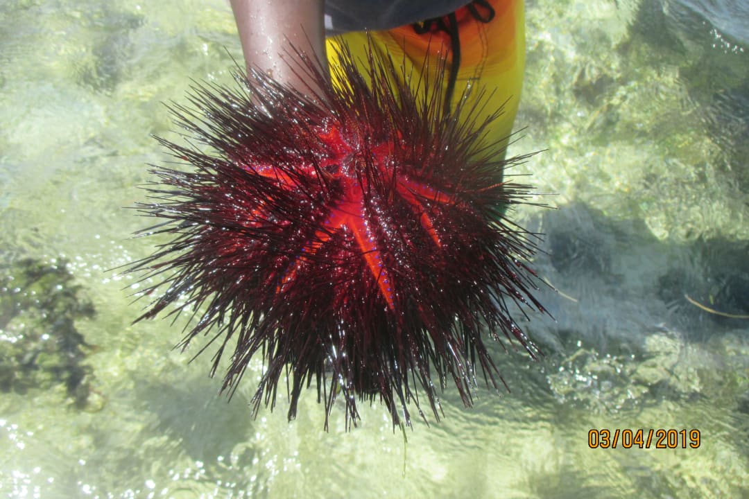 Strand Neptune Village Beach Resort & Spa