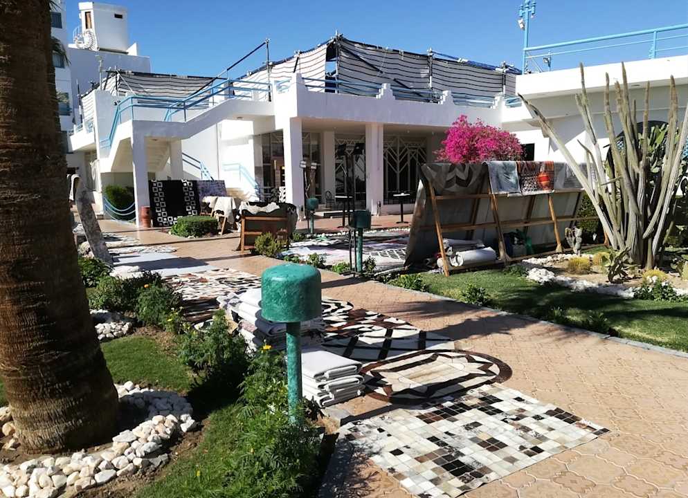 Gastro Shams Safaga Resort