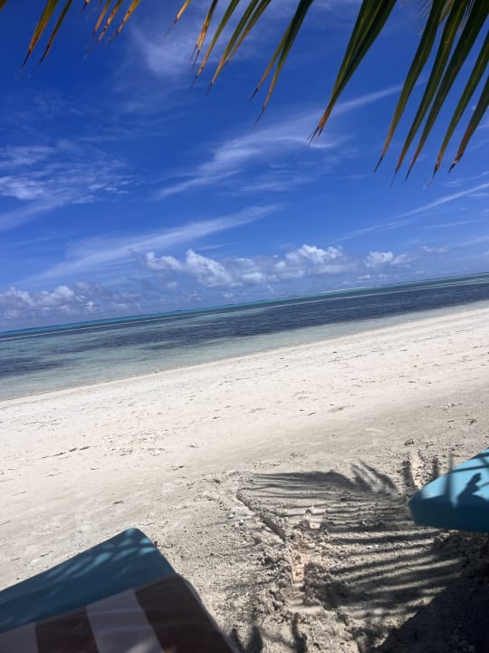 Zimmer South Palm Resort Maldives