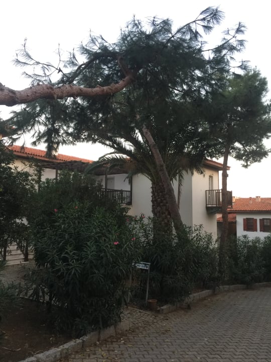 Außenansicht Teos Village