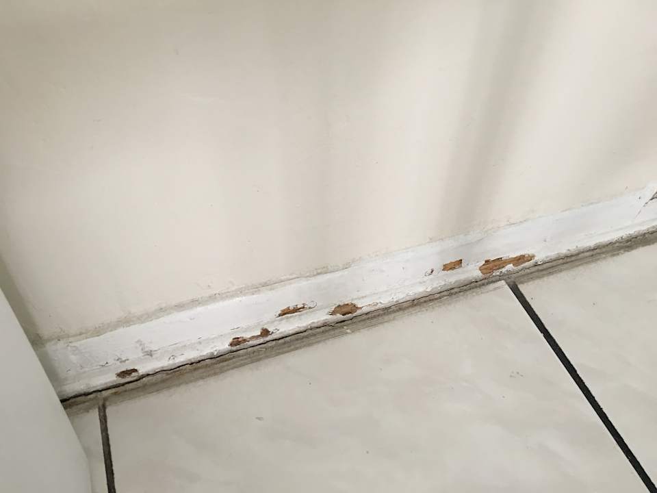 Zimmer Hotel Tropi Rock Resort