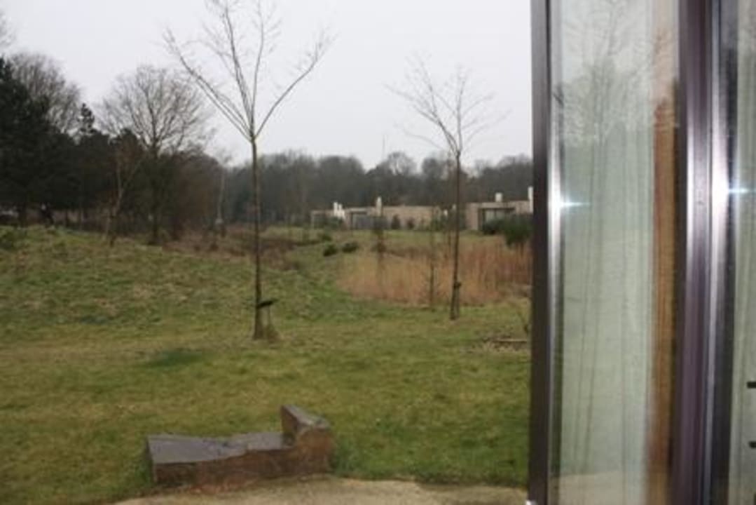 Blick aus dem Wohnzimmer Center Parcs Het Heijderbos