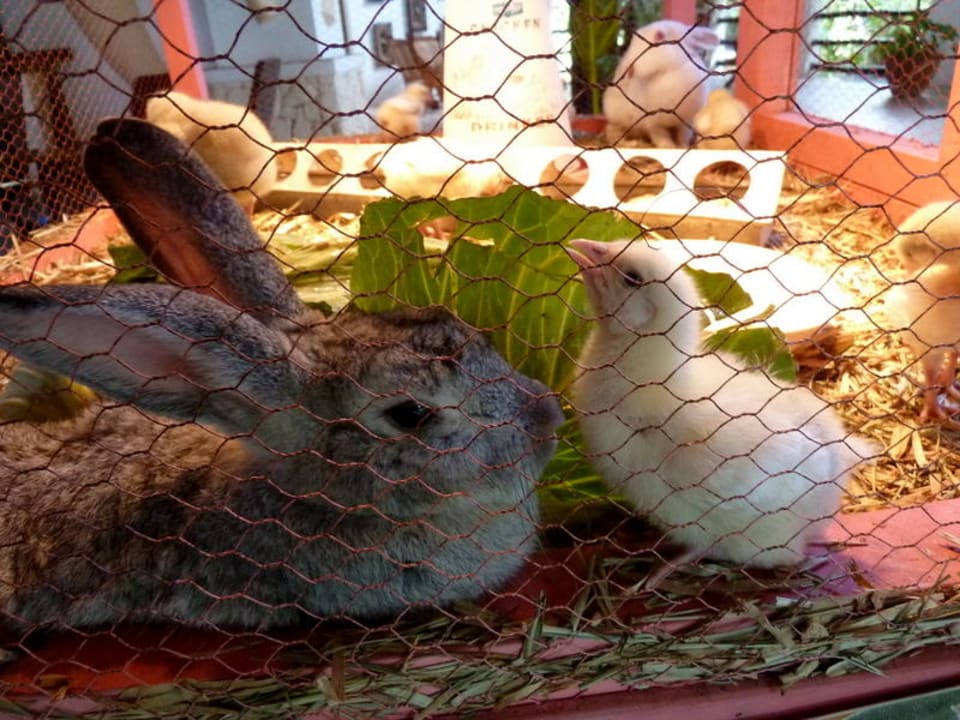 Frohe Ostern, für Gross und Klein Hotel Southern Palms Beach Resort