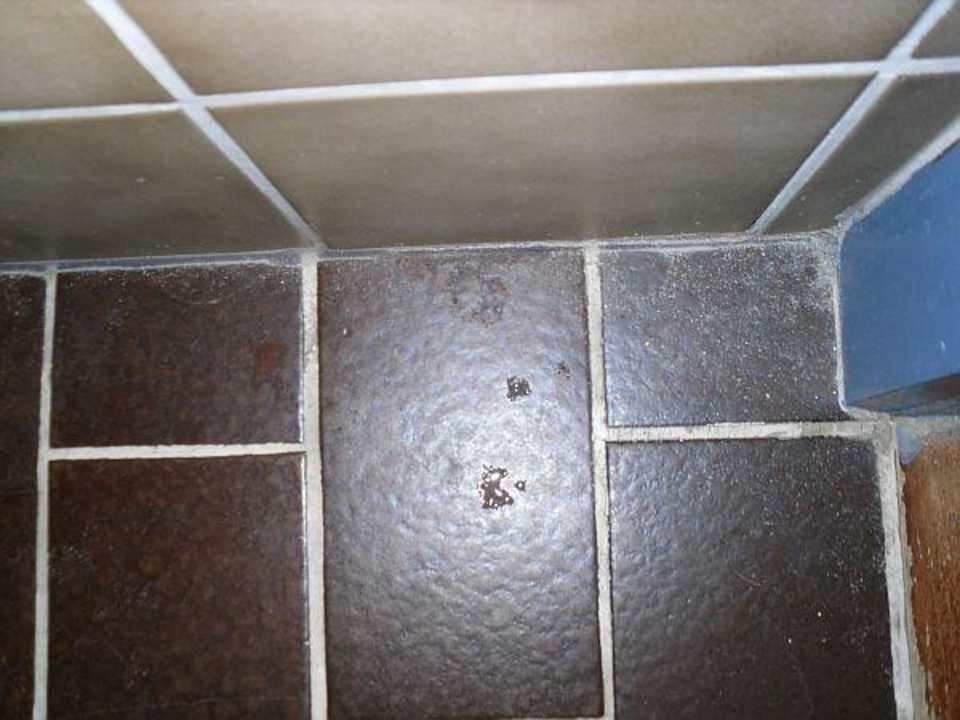 Dreck Bad Hotel Old Corner