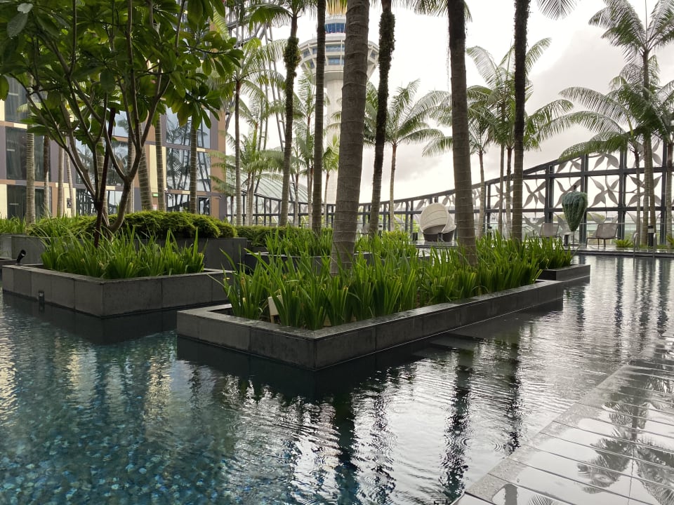 Pool Hotel Crowne Plaza Changi Airport