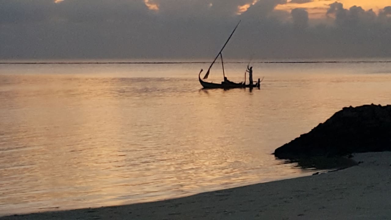 Ausblick Summer Island Maldives