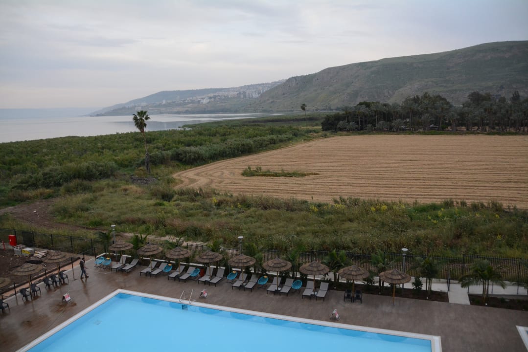 Pool The Sea of Galilee Hotel