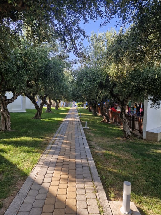 Außenansicht TUI KIDS CLUB Alex Beach