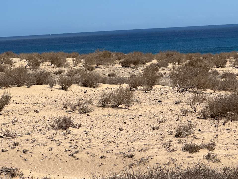 Sonstiges H10 Playa Esmeralda - Adults only
