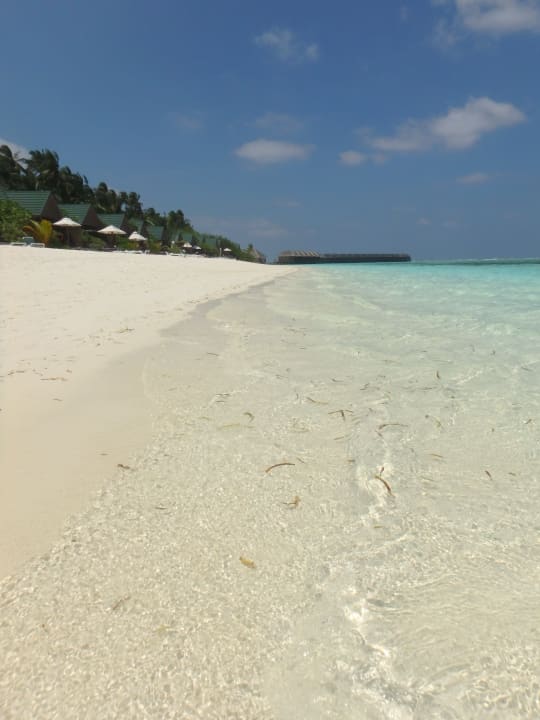 Strand Meeru Maldives Resort Island