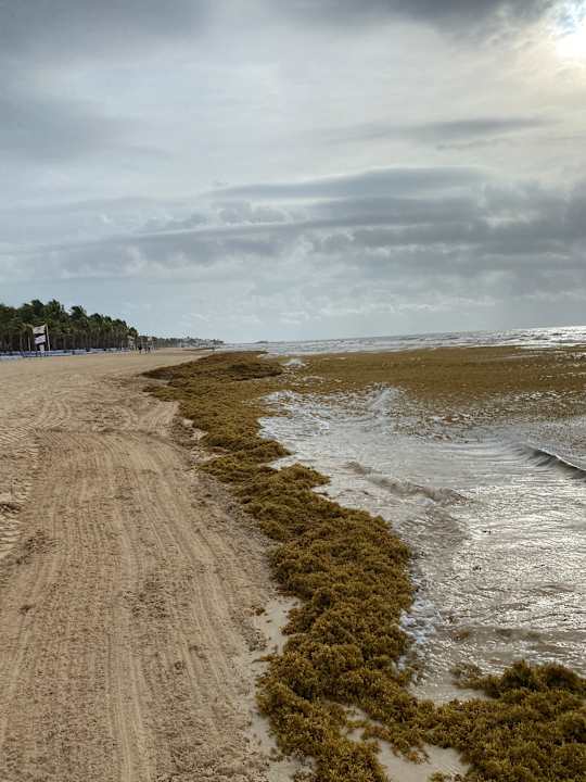 Strand Hotel Riu Yucatan