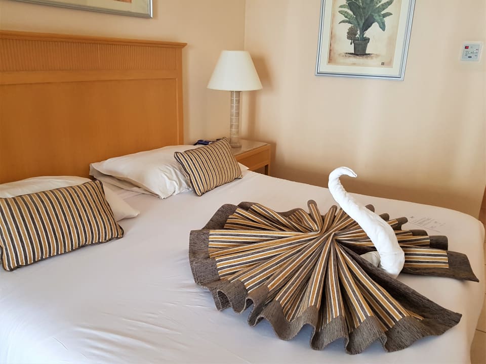 Zimmer Hotel JAZ Makadi Star & Spa