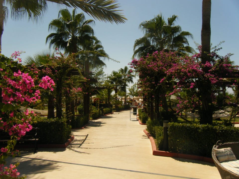 Saphir Resort & Spa  Saphir Resort & Spa