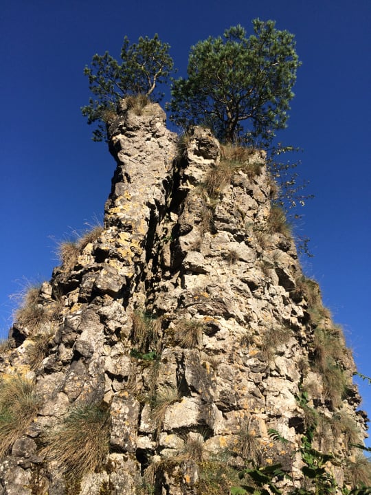 Ausblick Seehotel am Stausee