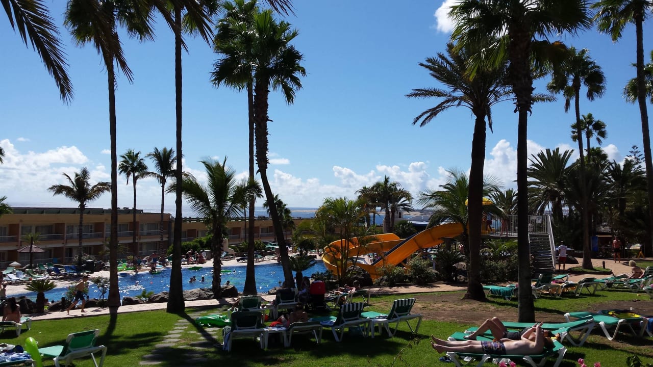 Liegen unter Palmen Abora Interclub Atlantic by Lopesan Hotels