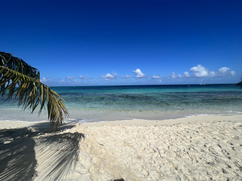 Strand Paradisus Rio de Oro Resort & Spa - Adults only