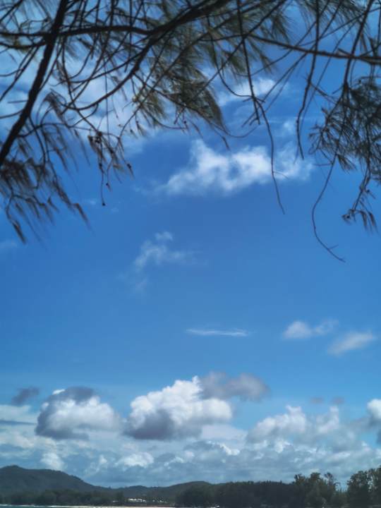 Ausblick Best Western Phuket Ocean Resort