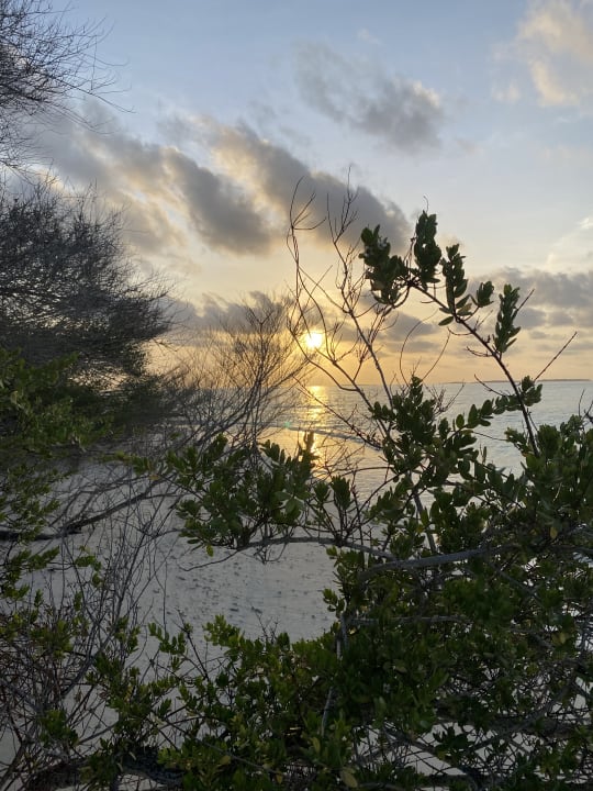 Ausblick Embudu Village