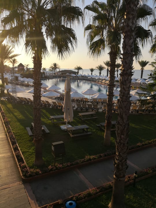 Pool Papillon Belvil