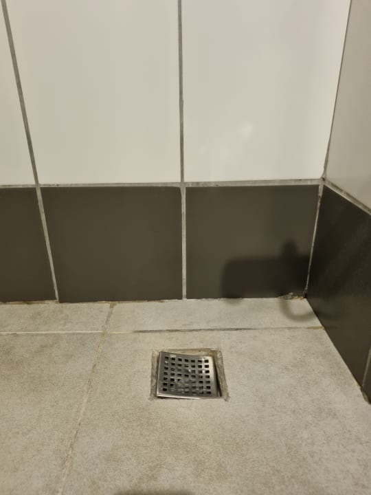 Zimmer AQI Pegasos World