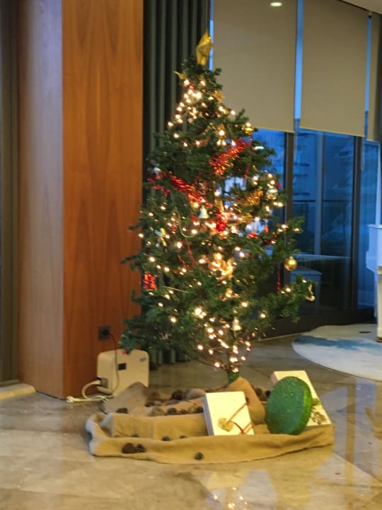 Sonstiges Side Star Elegance