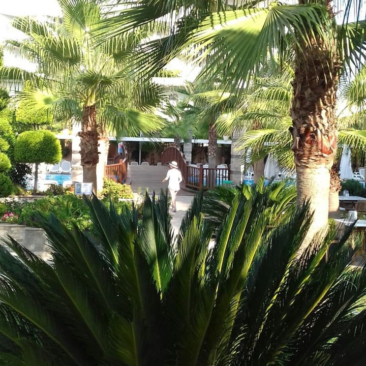 Gartenanlage Dizalya Palm Garden