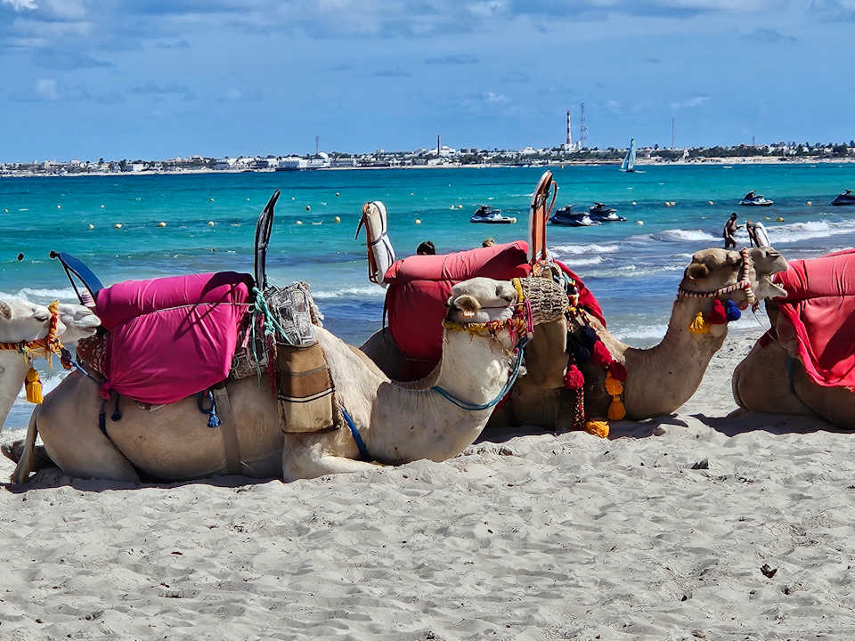 Strand TUI MAGIC LIFE Penelope Beach