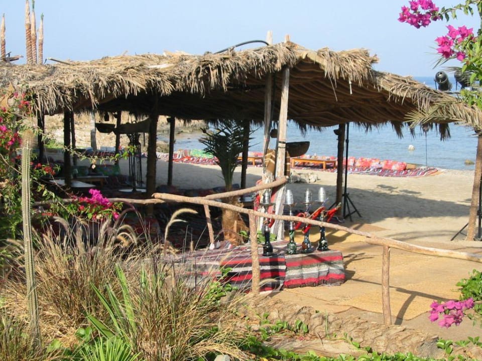 Shisha-Zelt am Strand Brayka Bay Resort