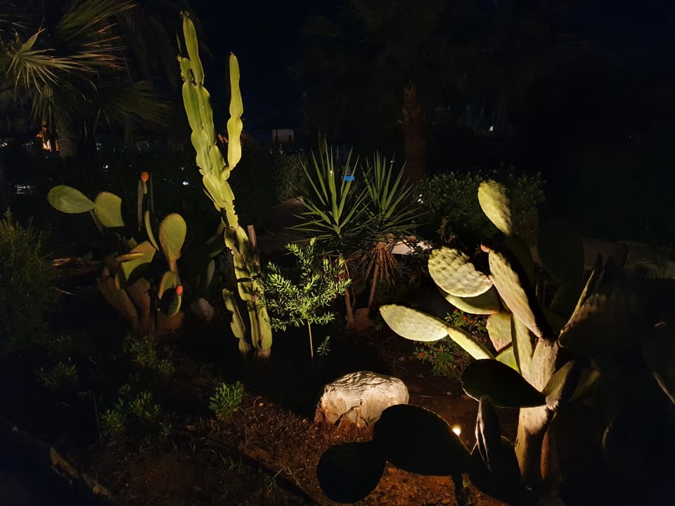 Gartenanlage Anissa Beach & Village