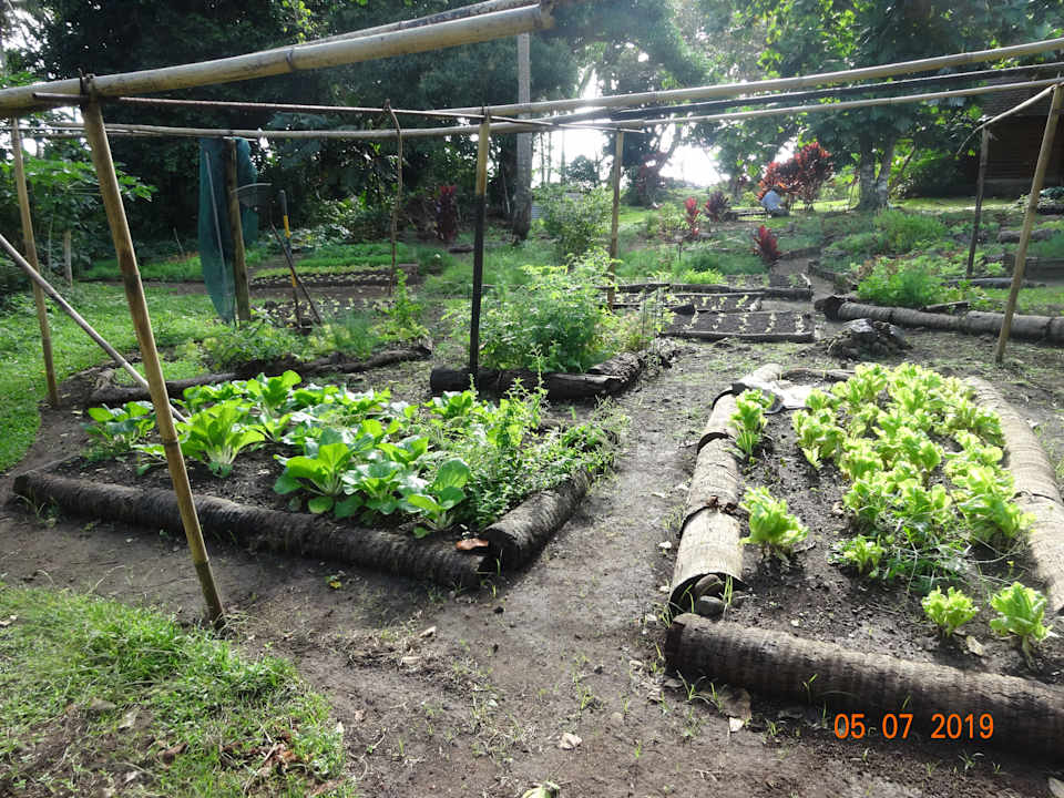 Gartenanlage Papageno Resort