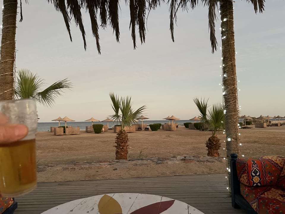 Ausblick Shams Alam Beach Resort