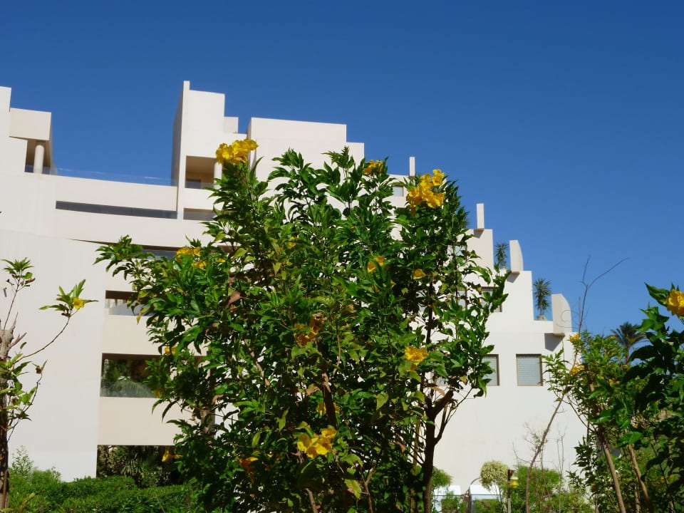 Sicht auf Hotel Steigenberger Makadi Hotel - Adults only