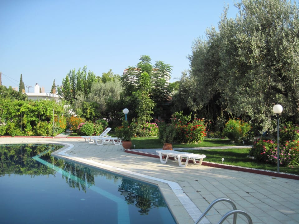 Garten am Pool Hotel Dimitra