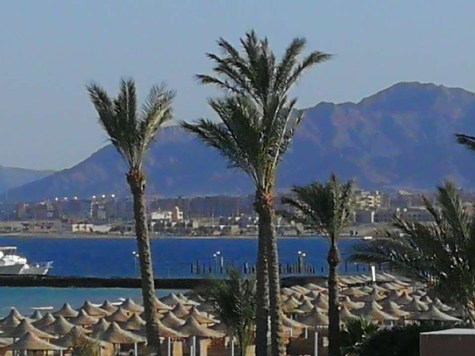 Ausblick Shams Prestige Abu Soma-Adults Only