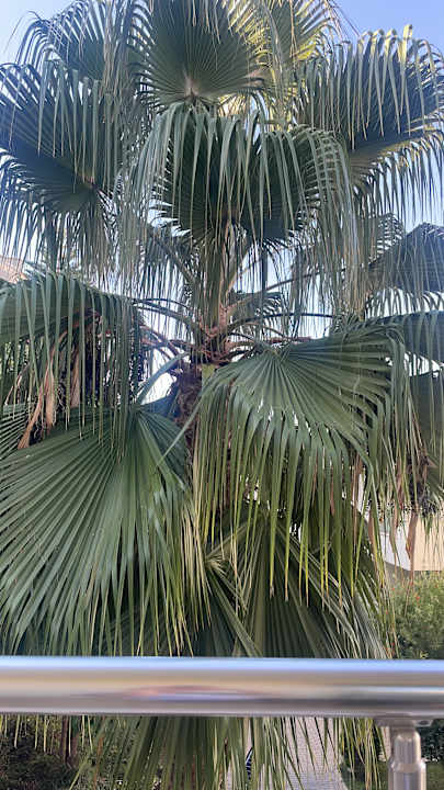 Ausblick Dream Family Club