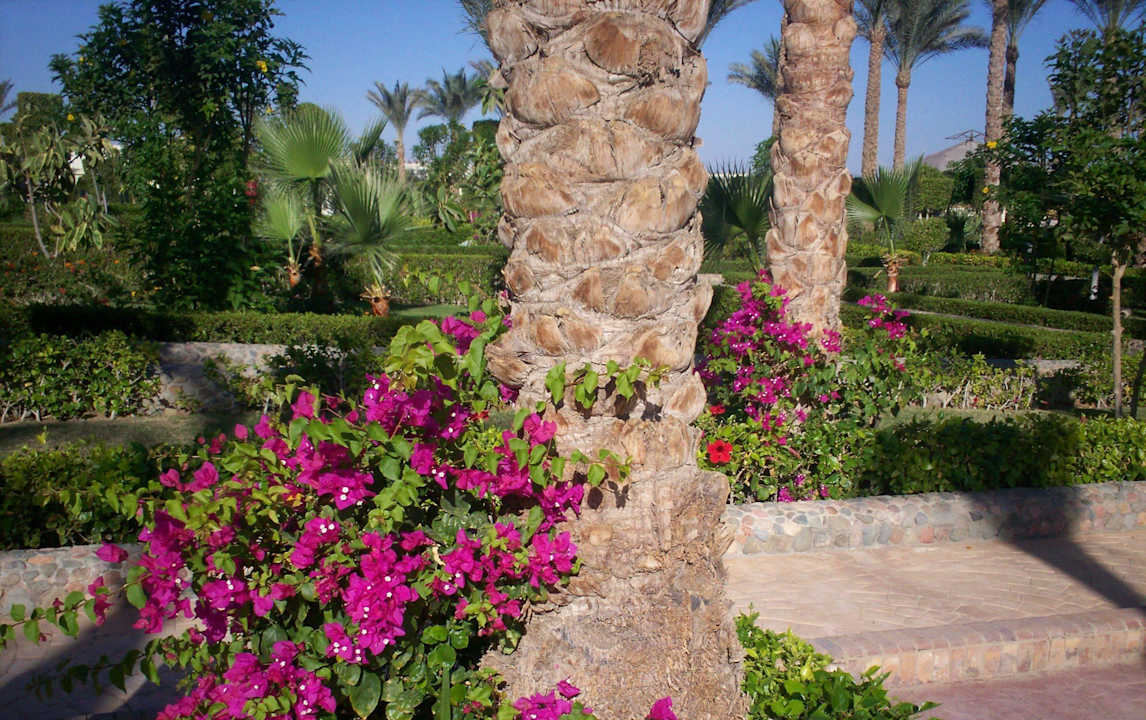 Внутри парка Riviera Aqua Park Resort