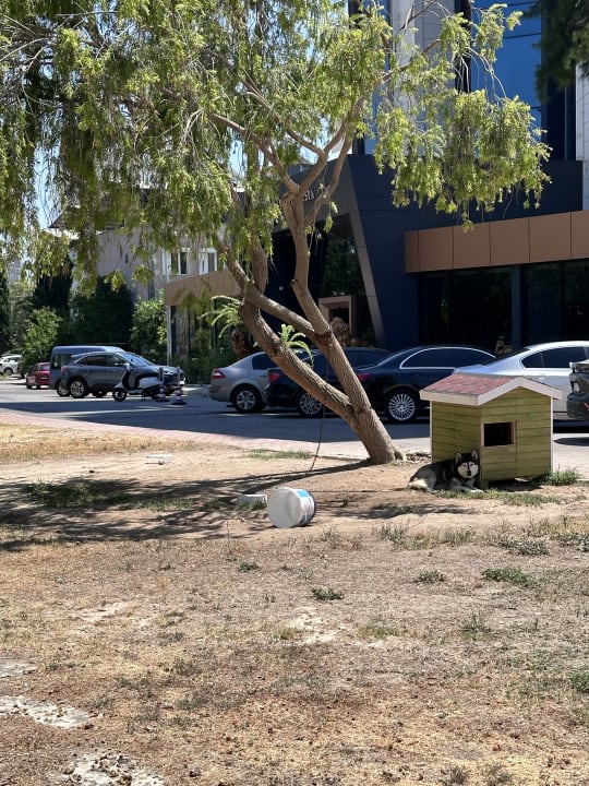 Außenansicht Optimum Luxury Hotel&Spa