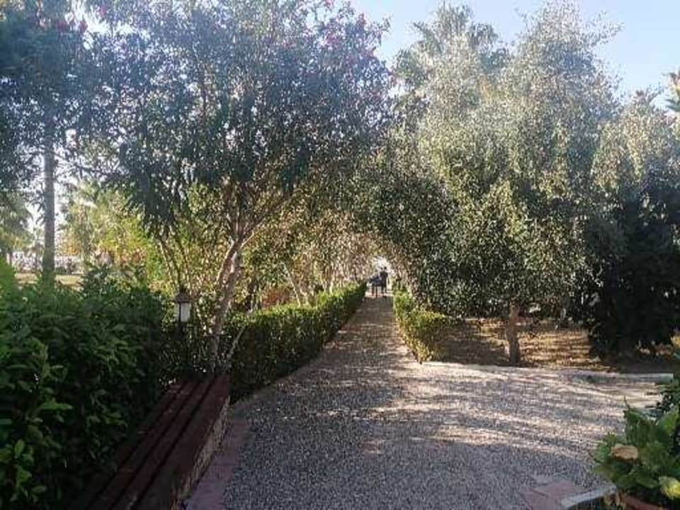 Gartenanlage Iz Flower Side Beach Hotel
