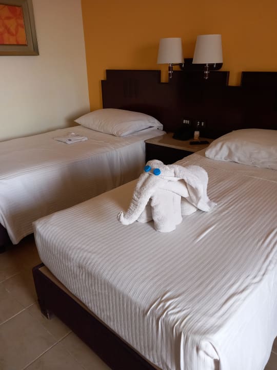 Zimmer Coral Sun Beach