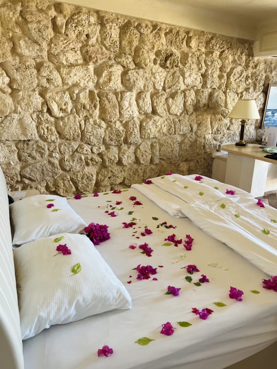 Zimmer Pickalbatros Citadel Resort