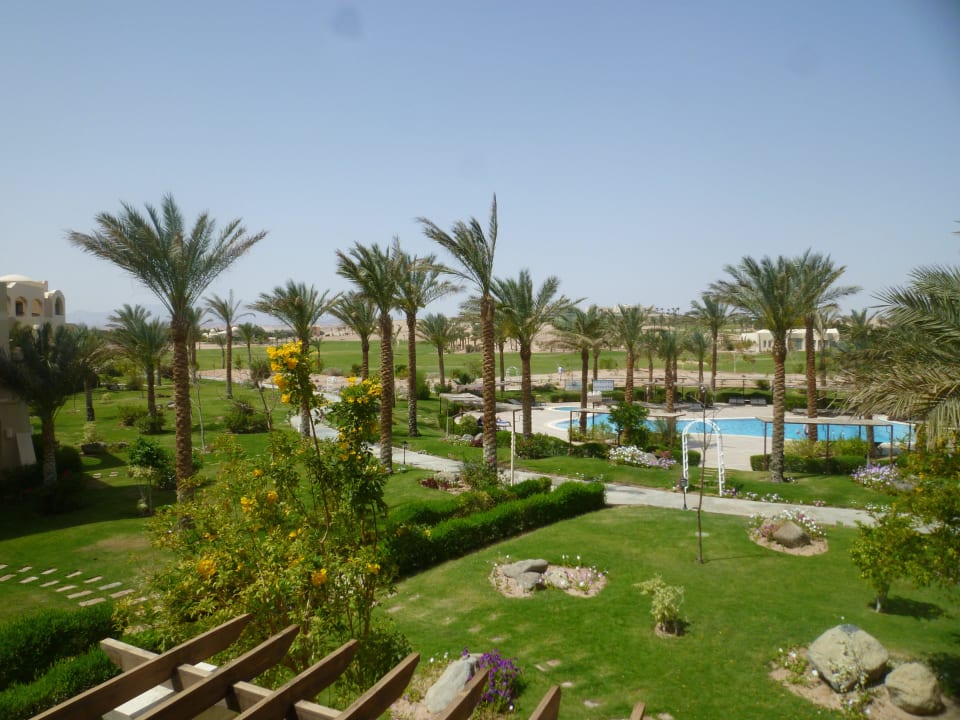 Ausblick vom Balkon JAZ Neo Saraya Palms