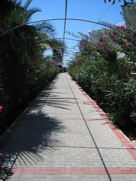 Weg zum Strand Alaiye Resort & Spa