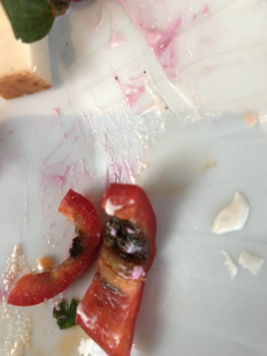 Gastro Porto Bello Royal