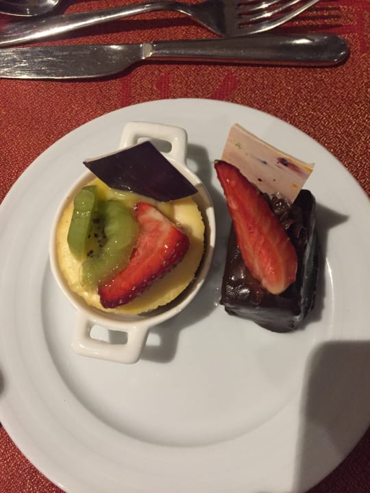 Gastro Acanthus Cennet Barut Collection