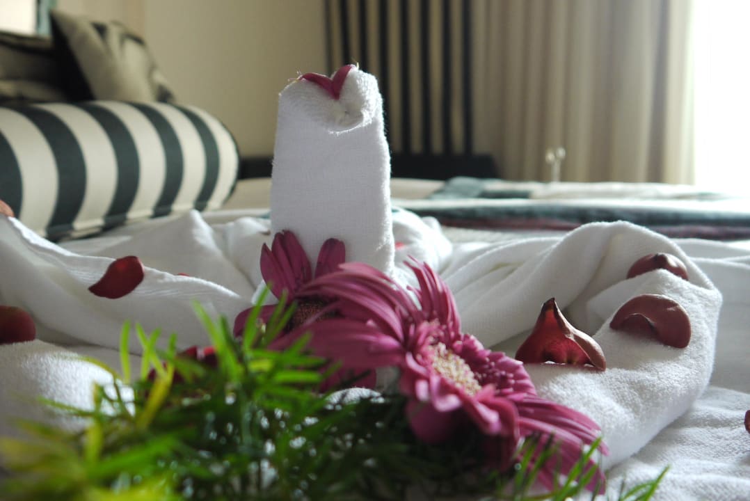 Deko der Zimmermädchen  Hotel Delphin Imperial