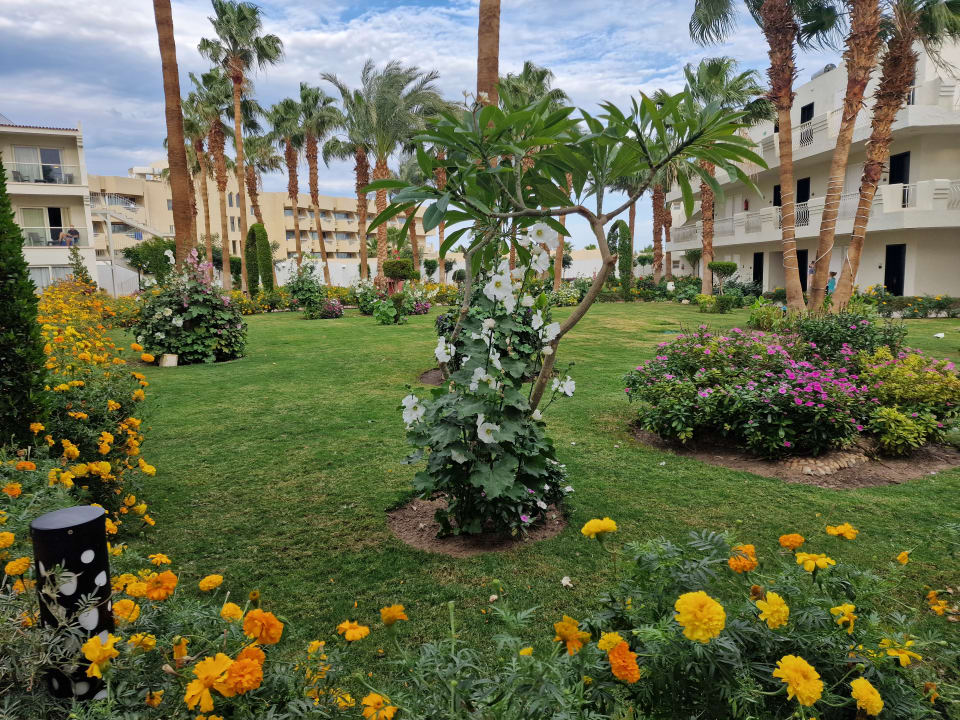 Außenansicht Amarina Abu Soma Resort & Aquapark